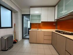 Blk 1E The Pinnacle@Duxton (Bukit Merah), HDB 4 Rooms #588835571